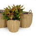 3-Pack Catleza Wicker Multi-purposes Basket with handler - Planter basket