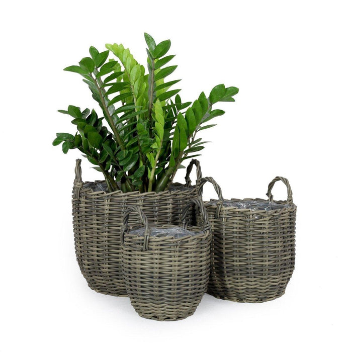 3-Pack Catleza Wicker Multi-purposes Basket with handler - Planter basket Gray