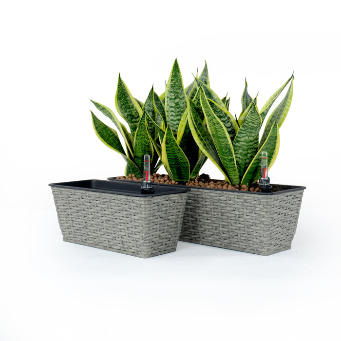 DTY Signature Set of 2 CATLEZA Rectangular Wicker Planters Gray