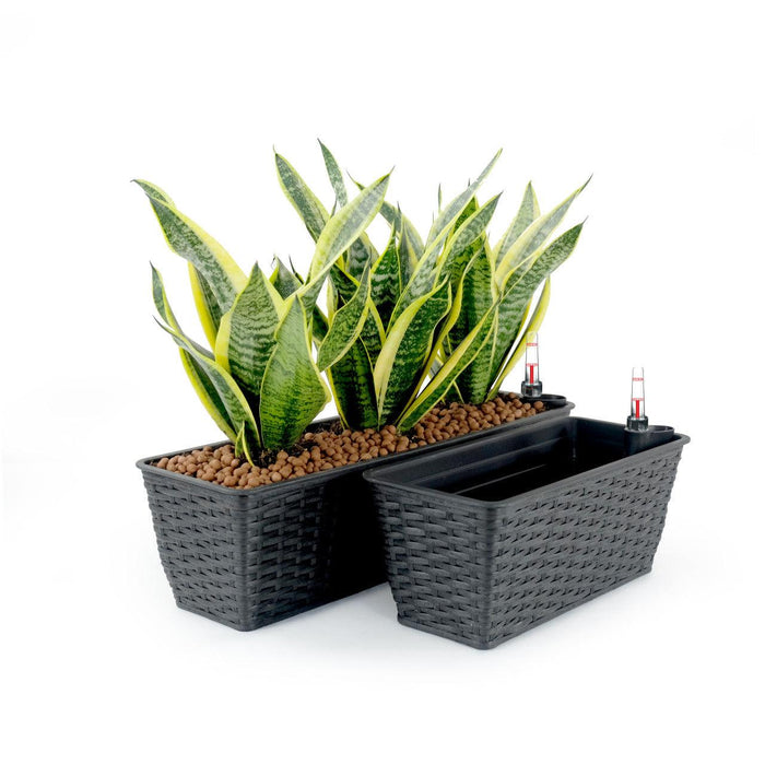 DTY Signature Set of 2 CATLEZA Rectangular Wicker Planters Espresso