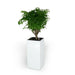 Catleza Composite Self-watering Square Planter Box - High 11 inches White