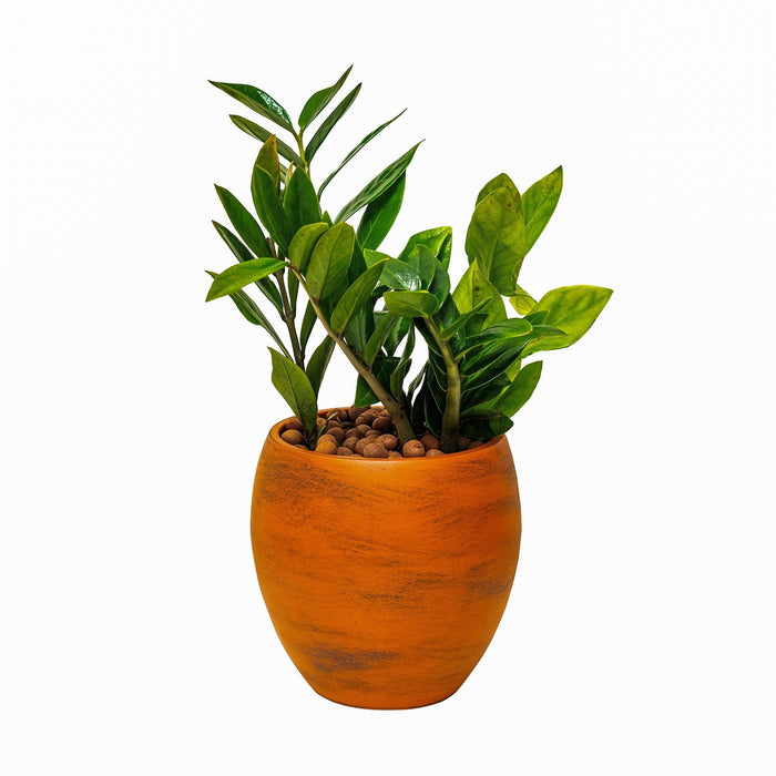 CATLEZA Round Planter Round Terracotta