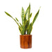 CATLEZA Round Planter Cylinder Imitation Wood