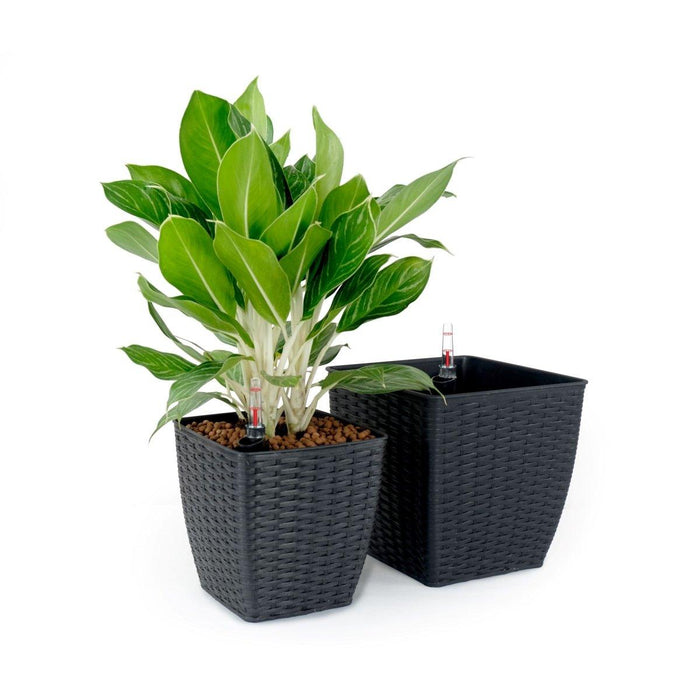 DTY Signature 2-Pack Self-watering Planter - Hand Woven Wicker - Thin Square Dark Gray