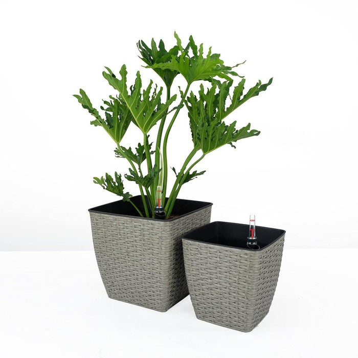 DTY Signature 2-Pack Self-watering Planter - Hand Woven Wicker - Thin Square Gray