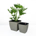 DTY Signature 2-Pack Self-watering Planter - Hand Woven Wicker - Thin Square Gray