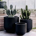 DTY Signature Mount Antero 1-piece Fiberstone Bullet Planter