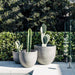 DTY Signature Mount Belford 1-piece Fiberstone Planter