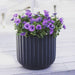 DTY Signature Mount Shavano 1-piece Fluted Fiberstone Planter