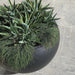 DTY Signature Mount Sherman 1-piece Fiberstone Planter