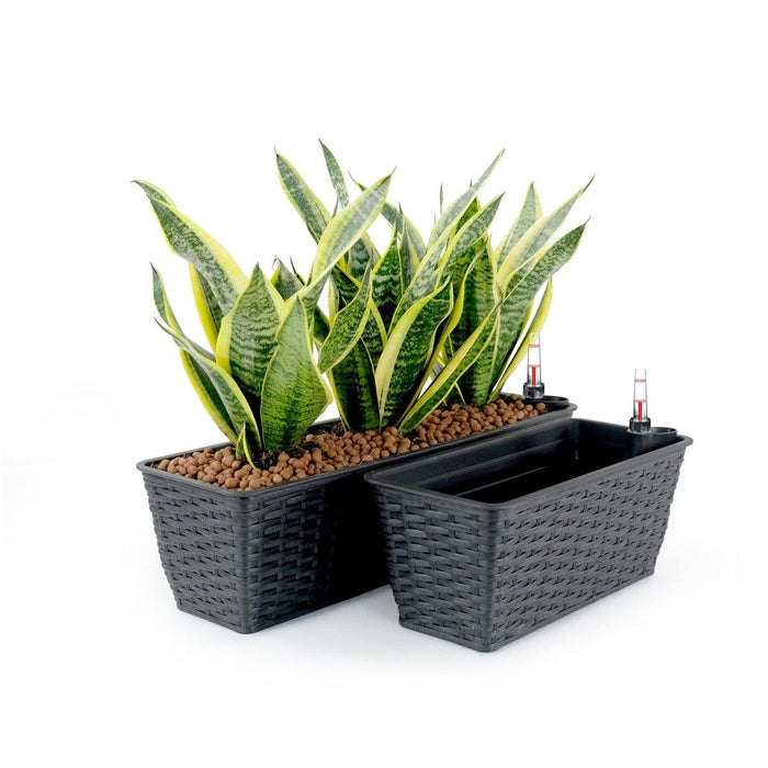 DTY Signature Set of 2 CATLEZA Rectangular Wicker Planters