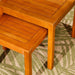 Longs Peak Eucalyptus Outdoor Nesting Tables 2-Piece Set