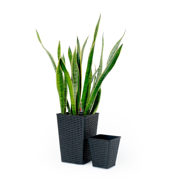 Set of 2 CATLEZA 7-inch and 9.4-inch Square Wicker Planters Espresso