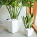 Set of 2 CATLEZA Cone Planters