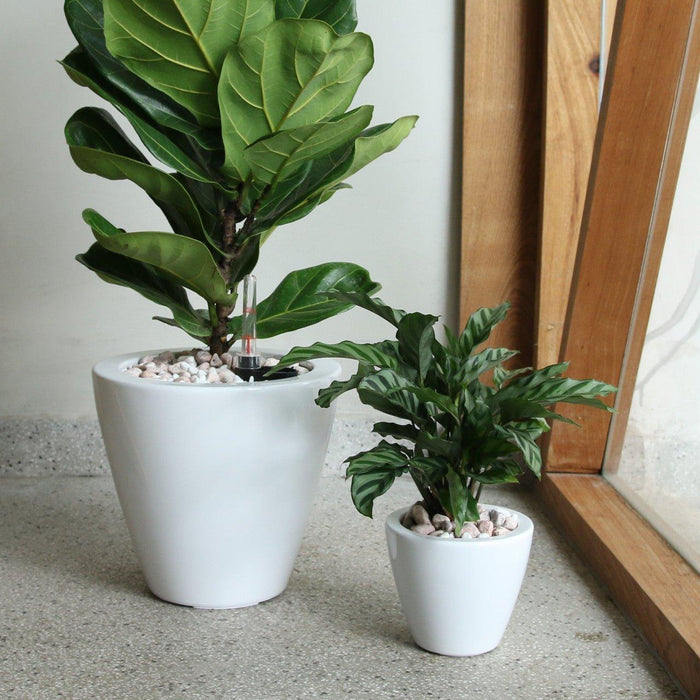 Set of 2 CATLEZA Cone Planters