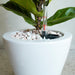 Set of 2 CATLEZA Cone Planters