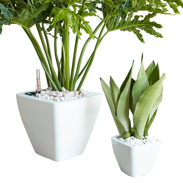 Set of 2 CATLEZA Cone Planters Square White