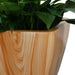 Set of 2 CATLEZA Cone Planters