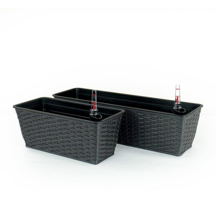 DTY Signature Set of 2 CATLEZA Rectangular Wicker Planters