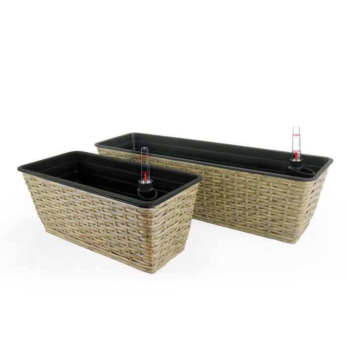 DTY Signature Set of 2 CATLEZA Rectangular Wicker Planters