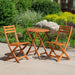 Twin Lakes Eucalyptus Outdoor 3-Piece Café Bistro Set